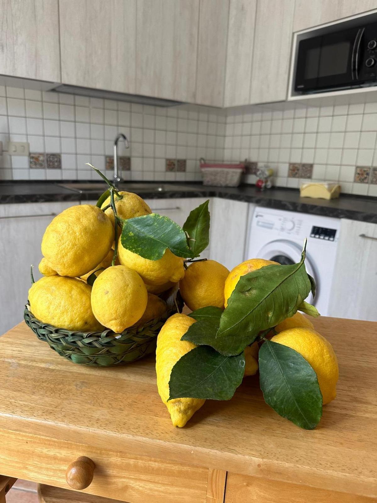 Villetta Le Costiere Massa Lubrense Dış mekan fotoğraf